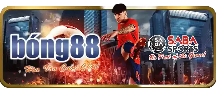 Người chơi đặt cược trực tiếp trên điện thoại